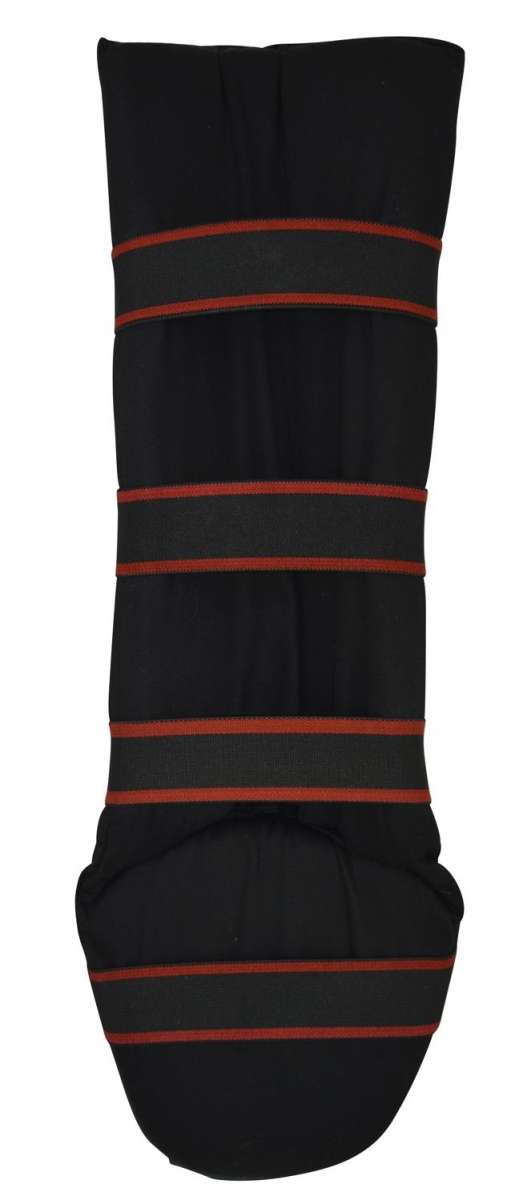 Phoenix: Muay Thai Benskydd