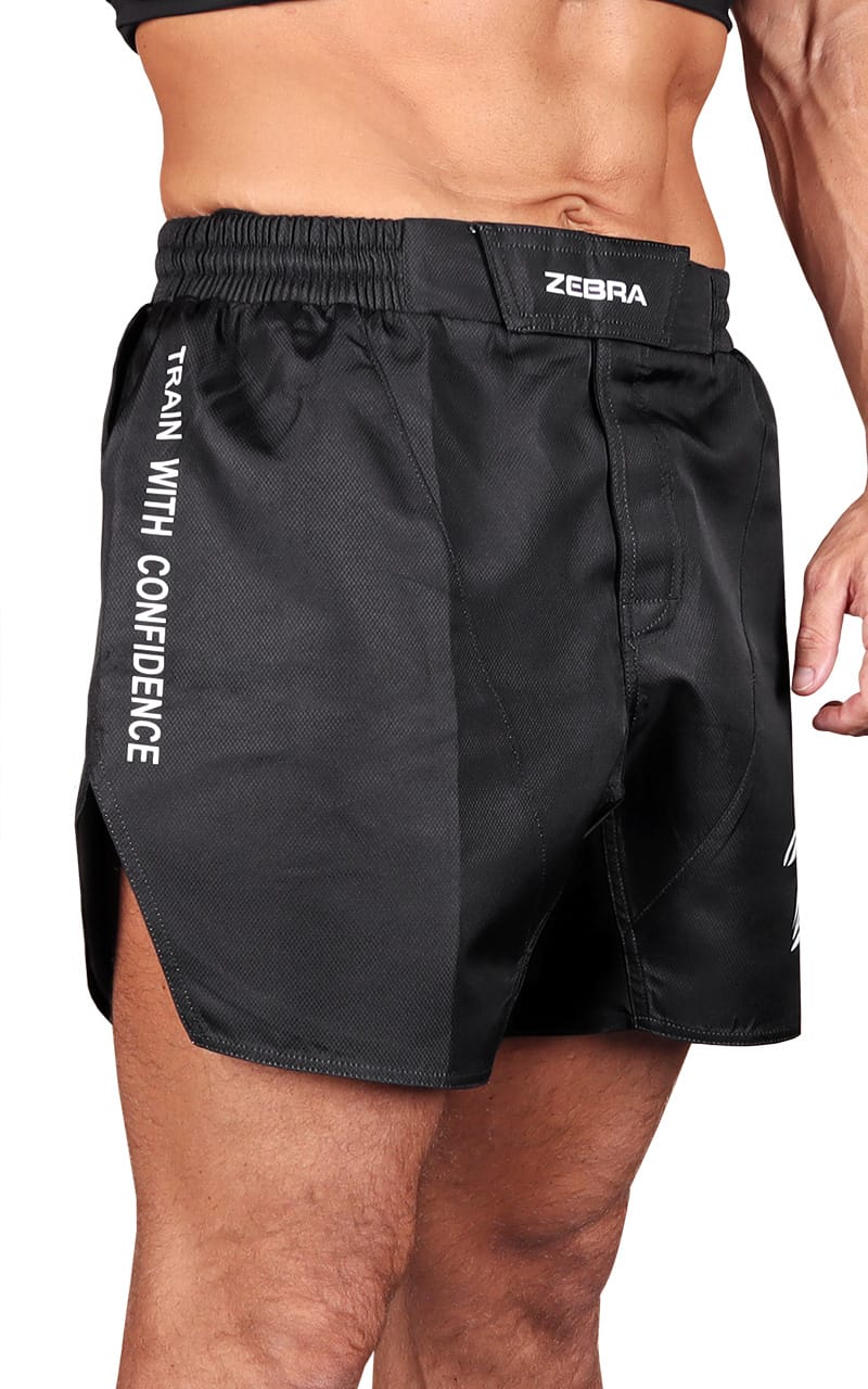 ZEBRA Shorts Performance, svart