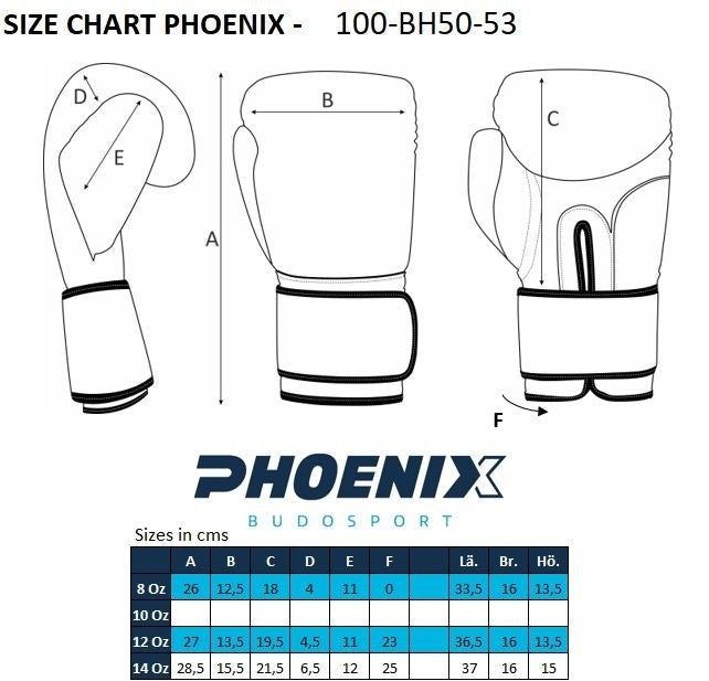 Phoenix: Boxningshandskar Top-modell svart äkta läder