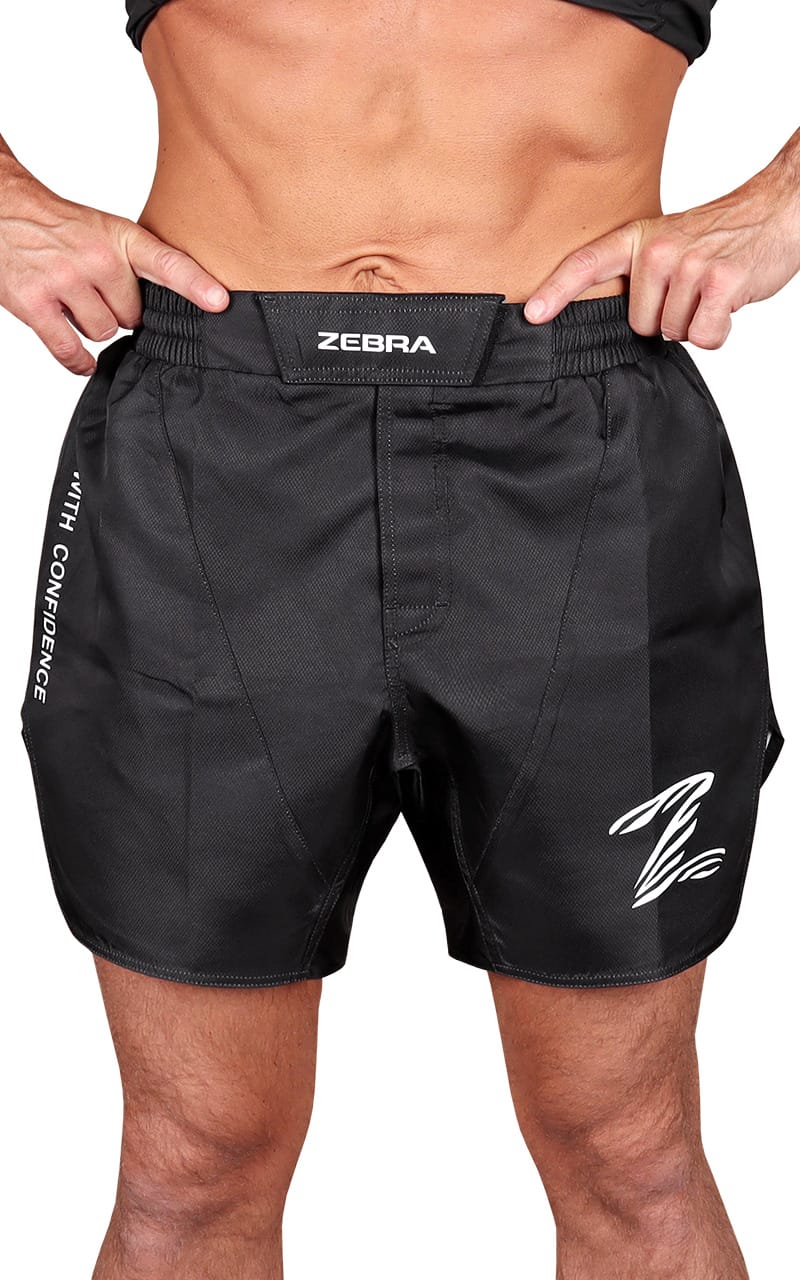 ZEBRA Shorts Performance, svart